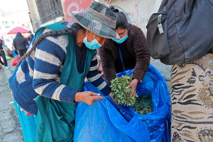 mujeres cocaleras venden hojas de coca
