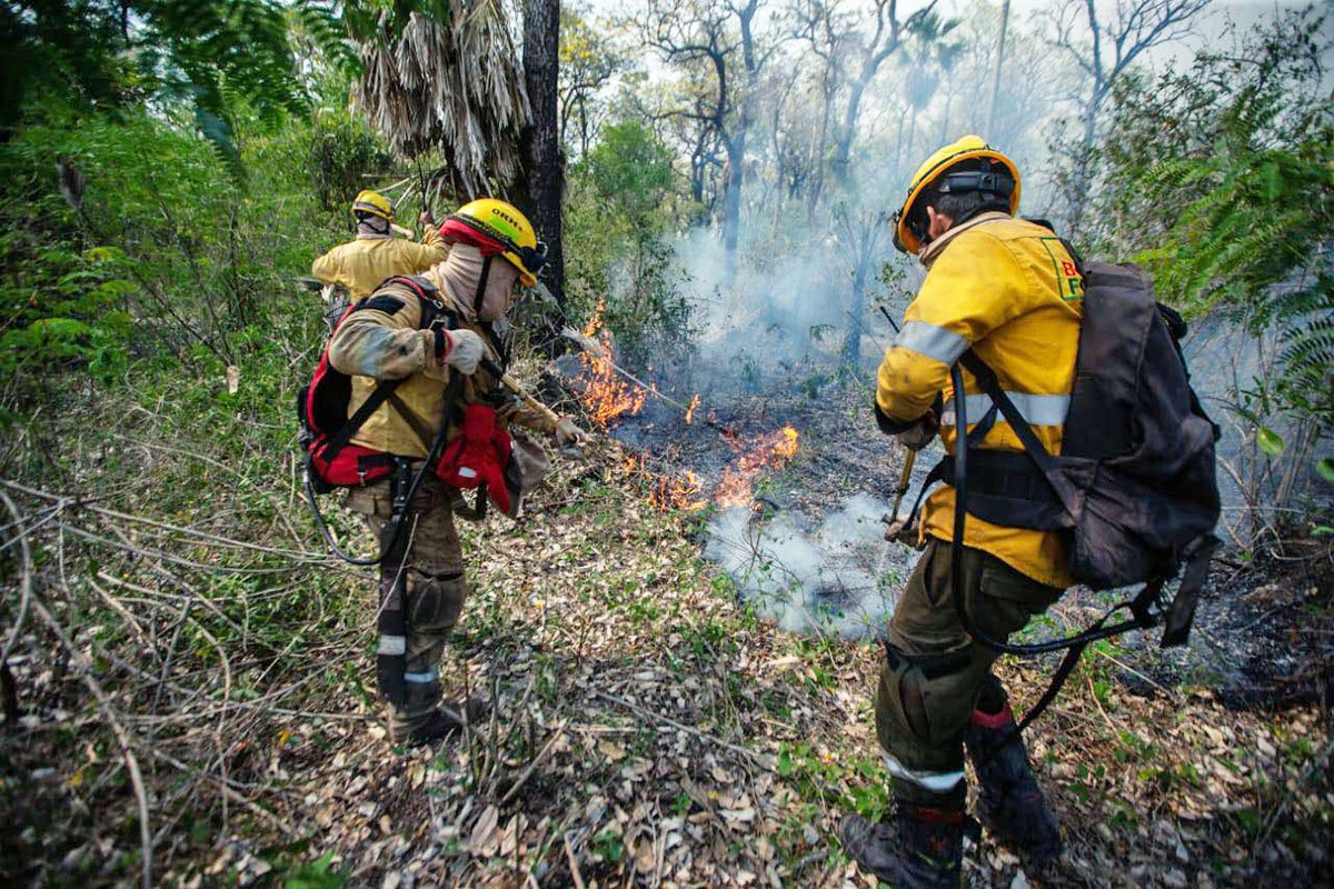 Bomberos trabajan para apagar incendios en dos parques nacionales en Santa  Cruz - JORNADA