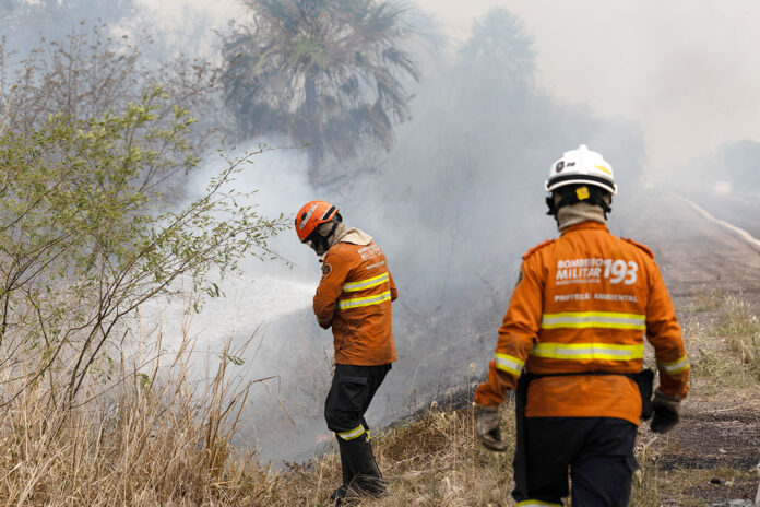 incendios se ceban con el Pantanal